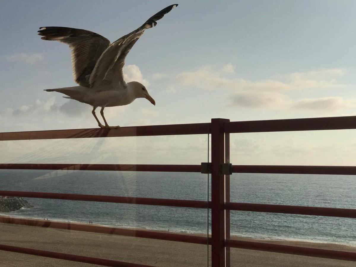 Dream Holiday -Beautiful Spot Nazaré Extérieur photo